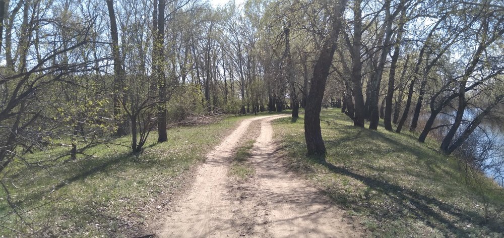 Photo #4646556
