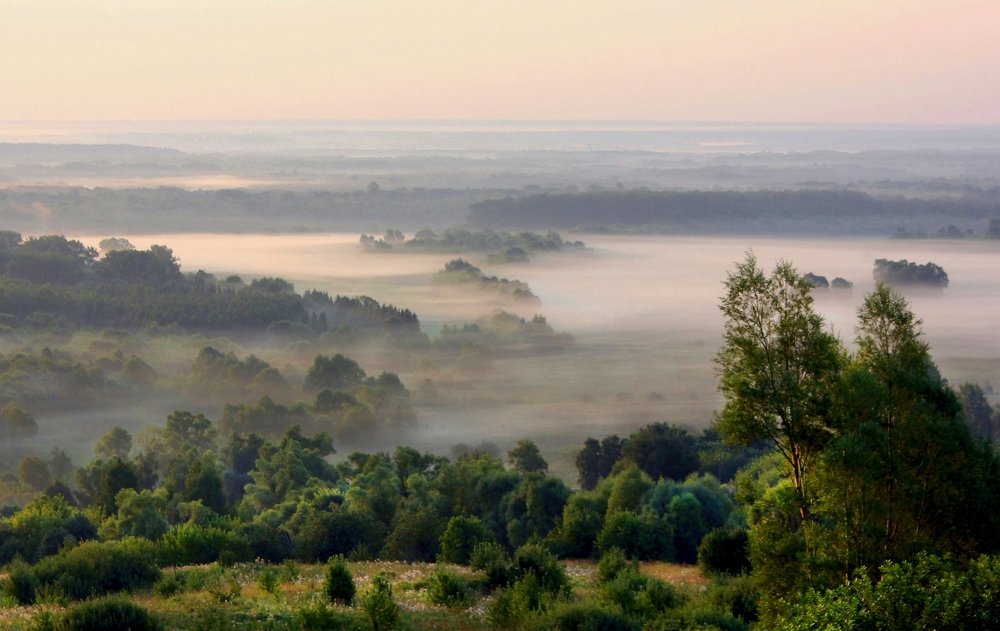 Туманное утро