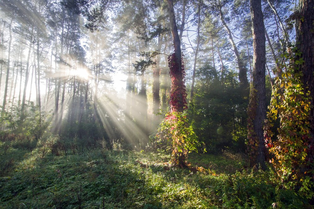 Photograph by Анна Евдокименко