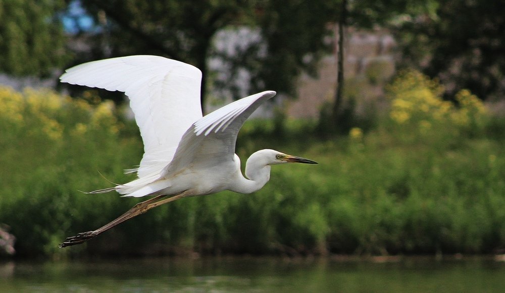 Photograph by Galina Tsmyg