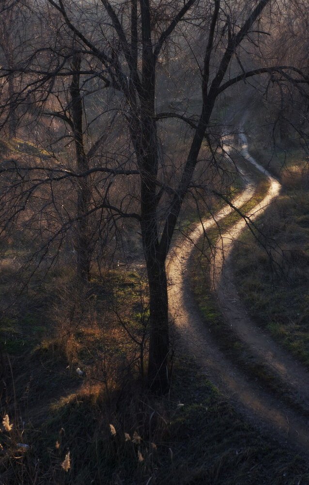 Фотография автора Светлана Груньковская