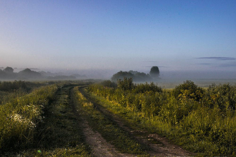 Photograph by Alla Matrosova