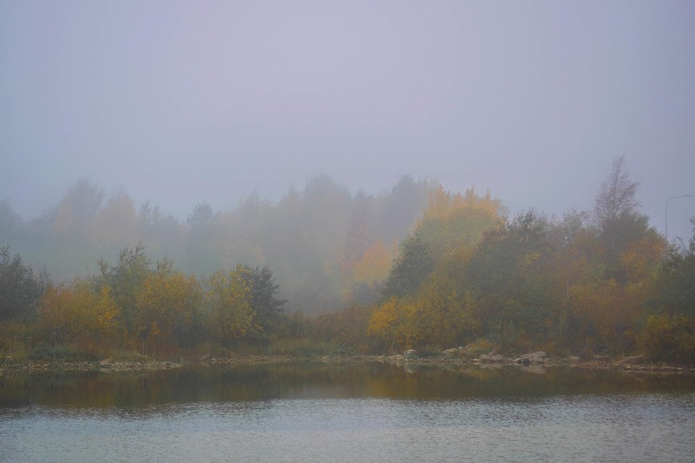 Photograph by Alla Matrosova