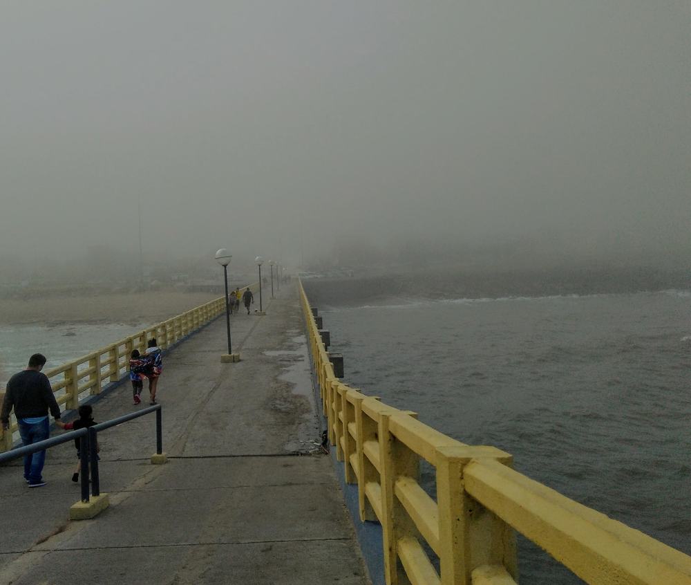 Photo #4646710
