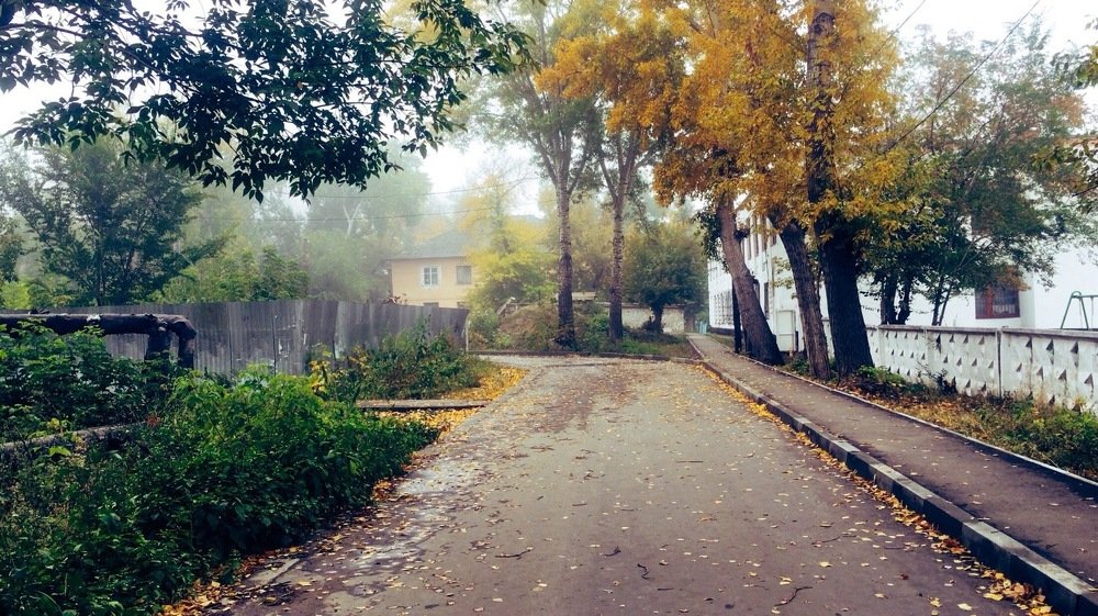 Осенний туман