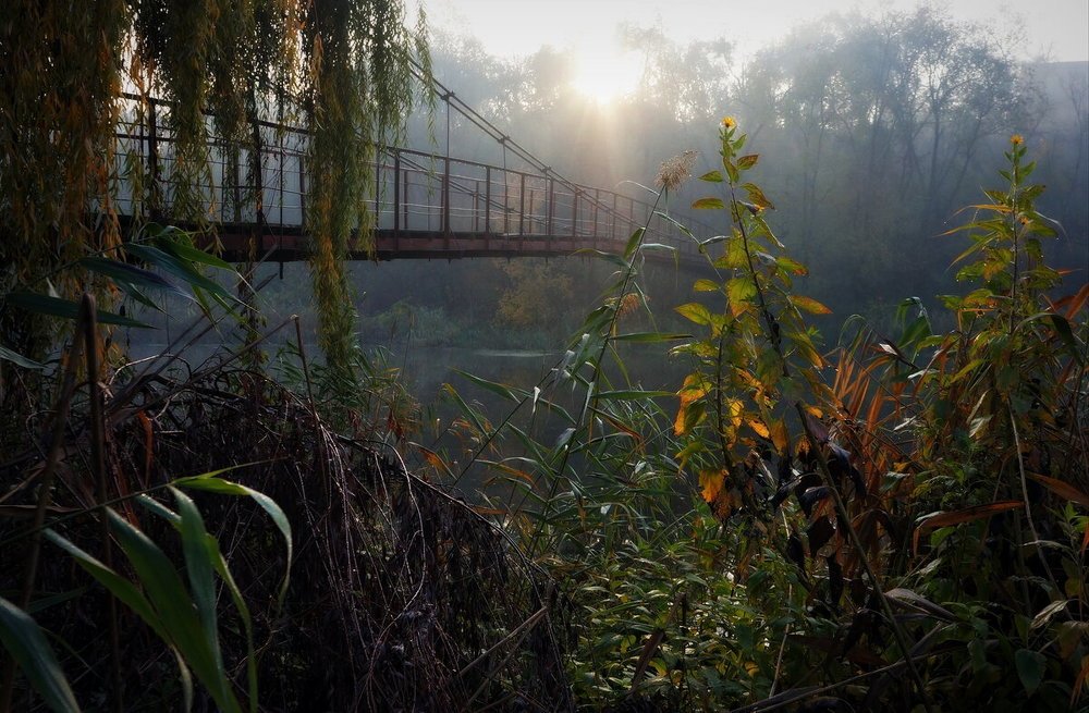 Фотография автора Светлана Груньковская