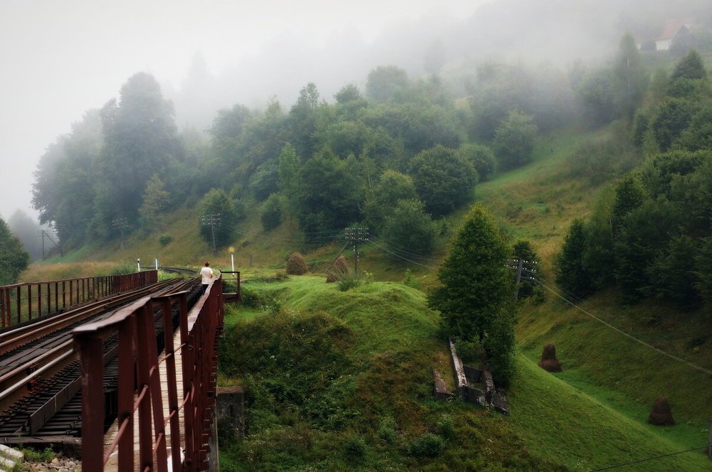Фотография автора Светлана Груньковская