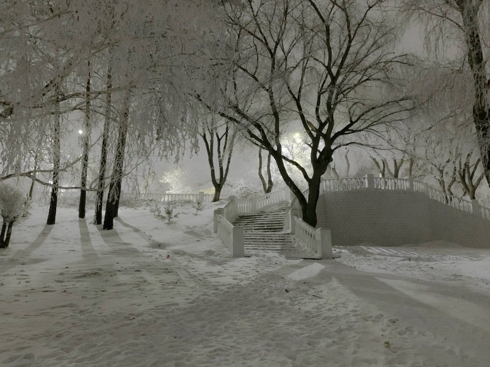 «Зимняя сказка» “The winter fairy tail”