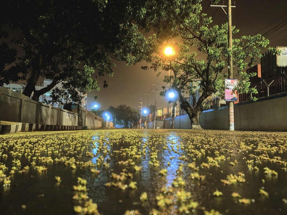 A road with full of flowers