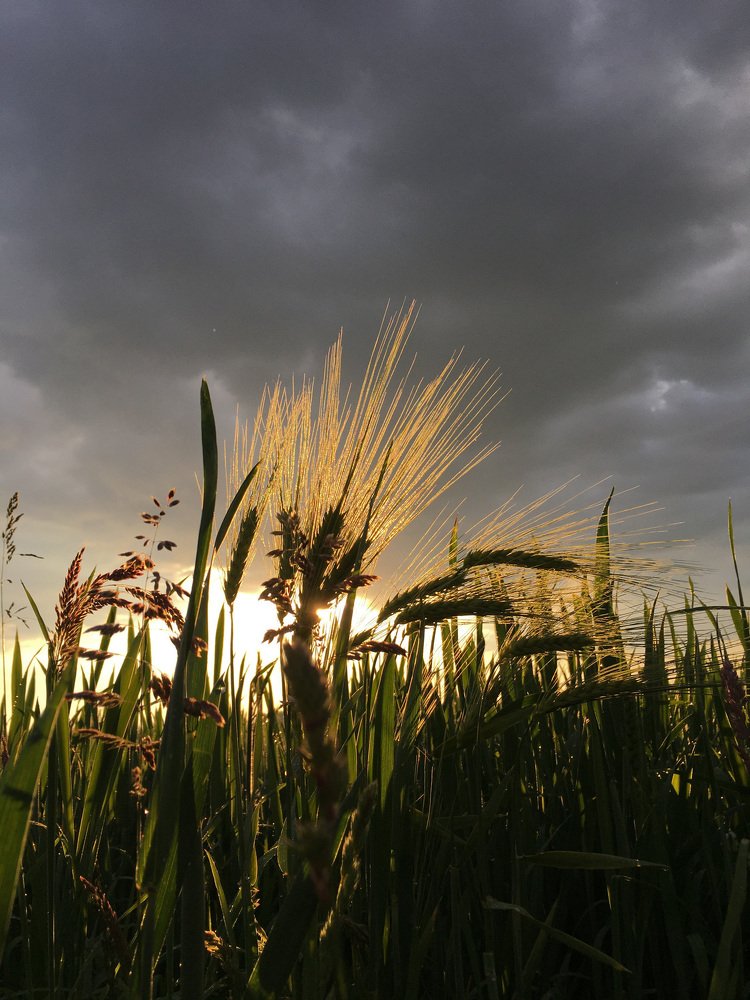 Photograph by Дарина Ковалишена