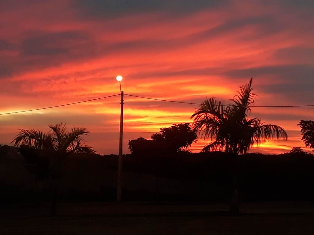 Photo #4646976