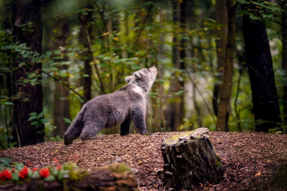 Photograph by Татьяна Гурова