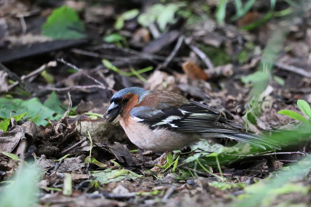 Photograph by Евгений Михеев