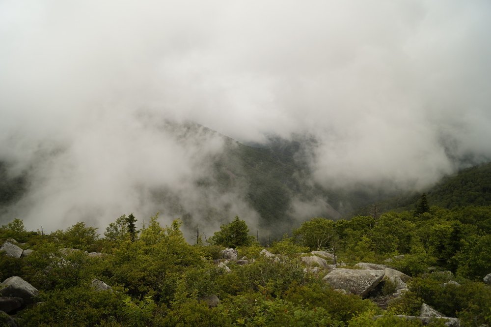 Photograph by Виктор Сёмушкин