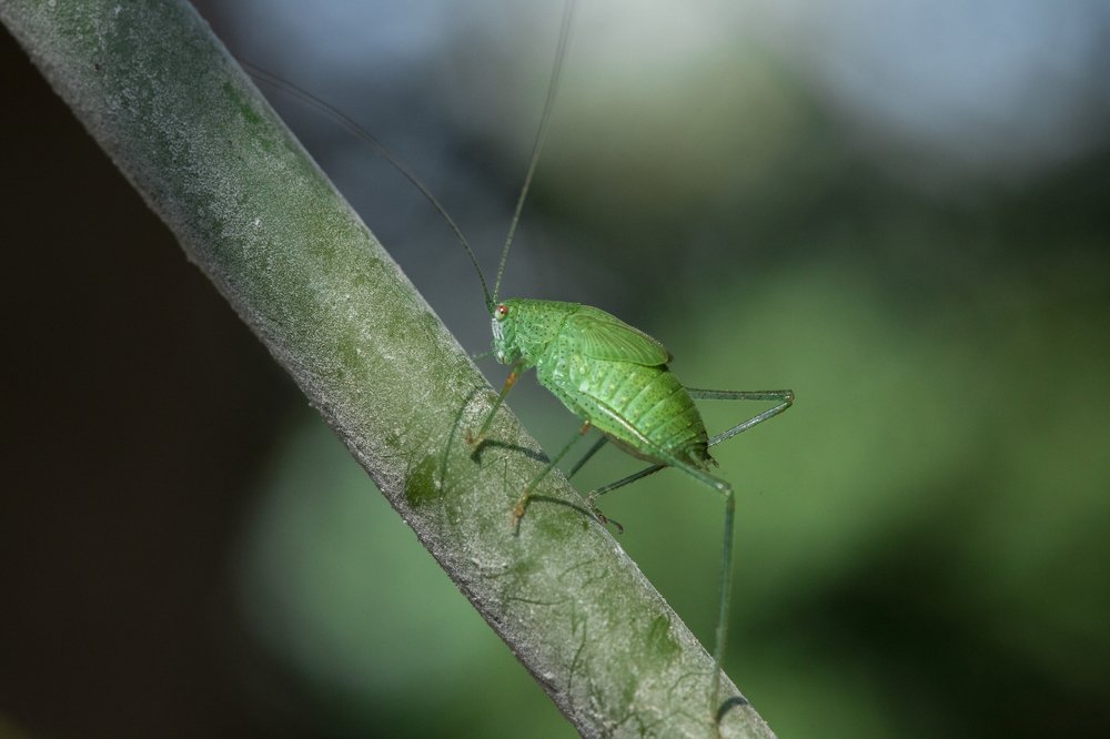 Photograph by Hemraj Chavhan A