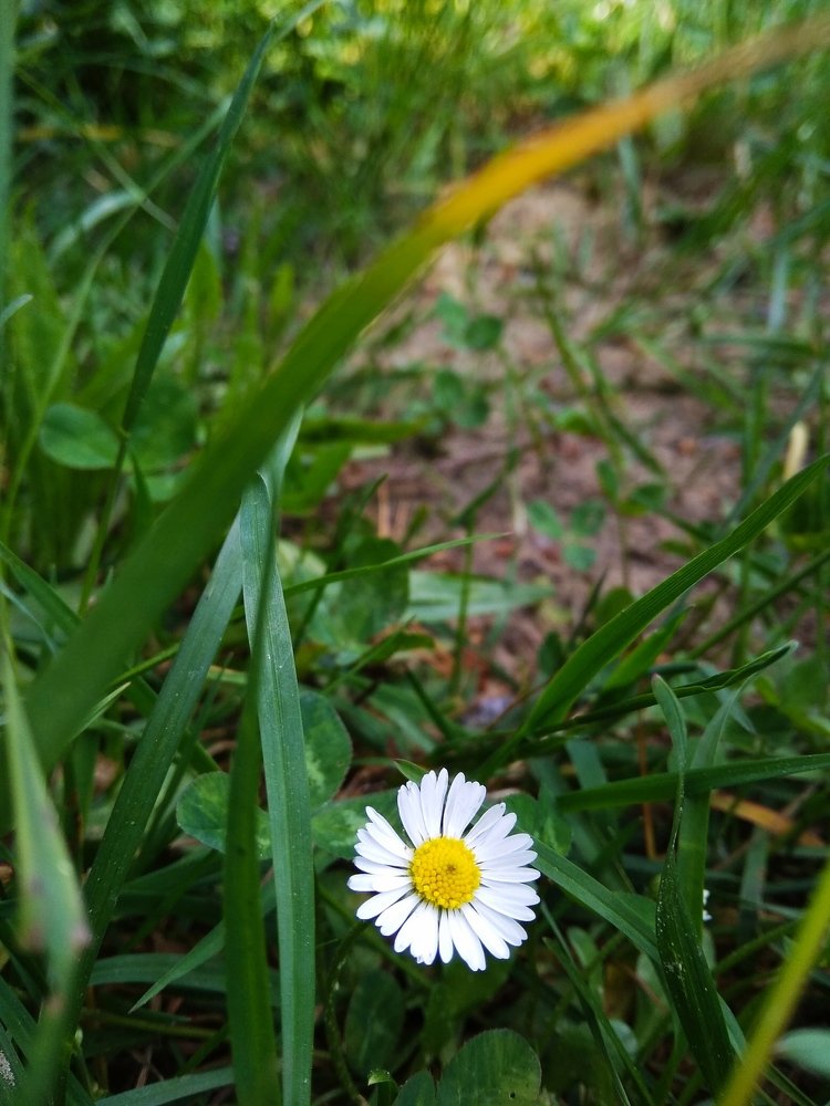 Photograph by Руслан