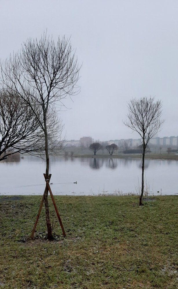 Фотография автора Светлана Дунаева