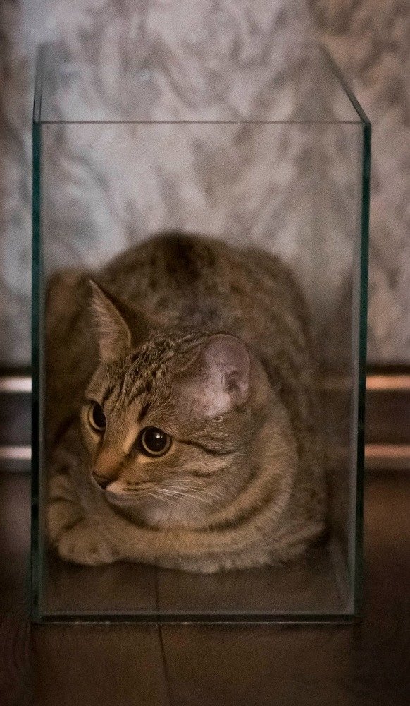 Самоизоляция