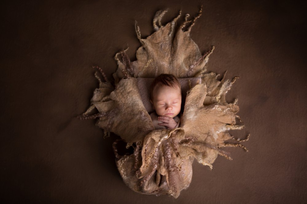 Photograph by Наталья Альбрехт