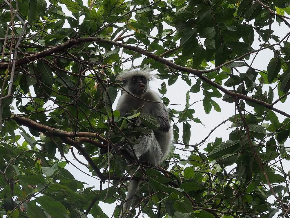 Photograph by Елена Харитонова