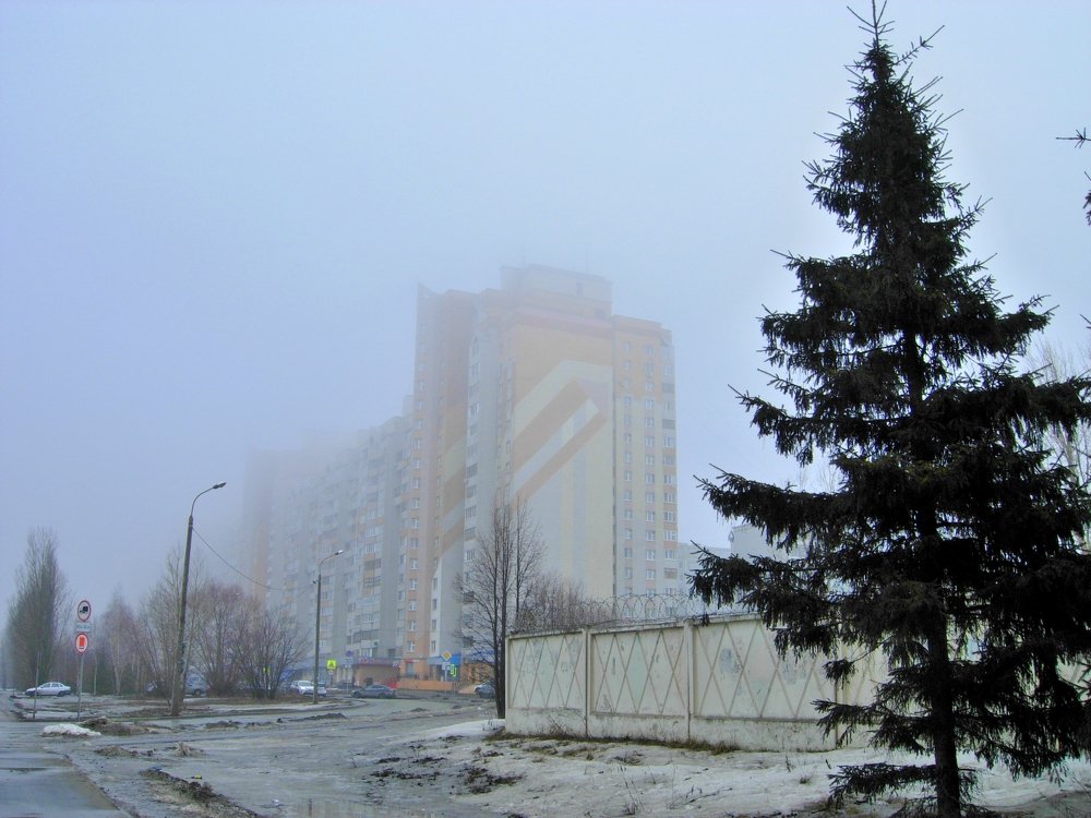 Фотография автора Клавдия Васильева