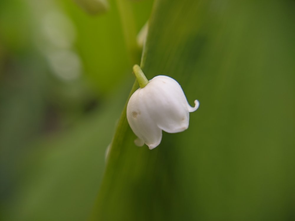 Photograph by Наиль Шакиров