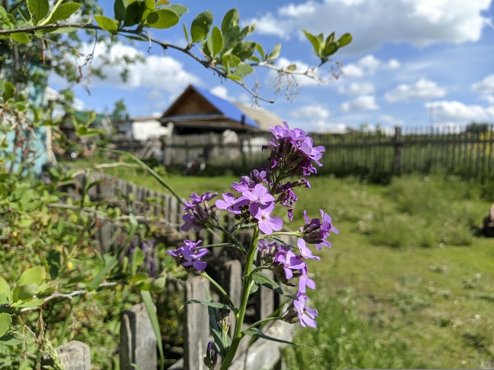 Photograph by Наиль Шакиров