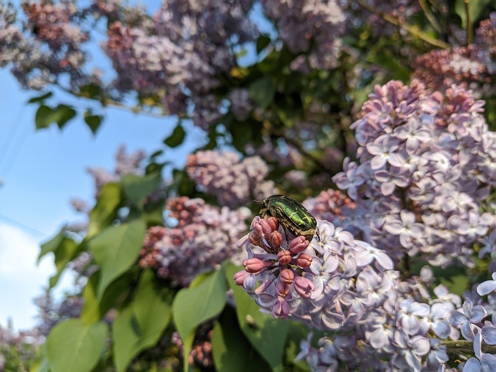 Photograph by Наиль Шакиров