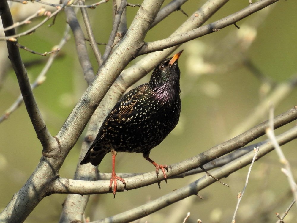 Photograph by Олеся Дейнеко