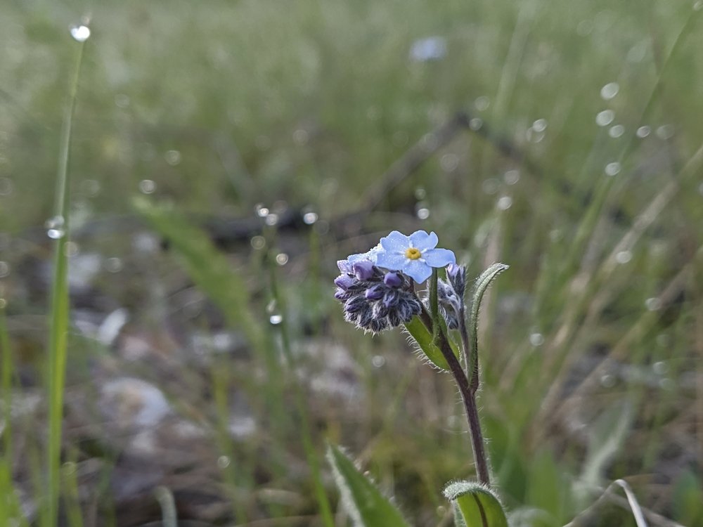 Photograph by Наиль Шакиров