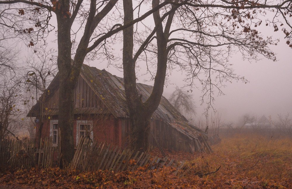 Фотография автора Андрей Меньших
