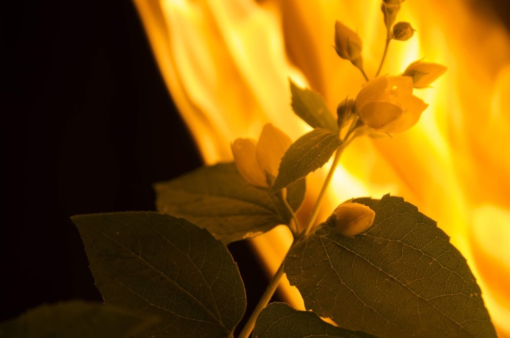 Photograph by Александр Мац