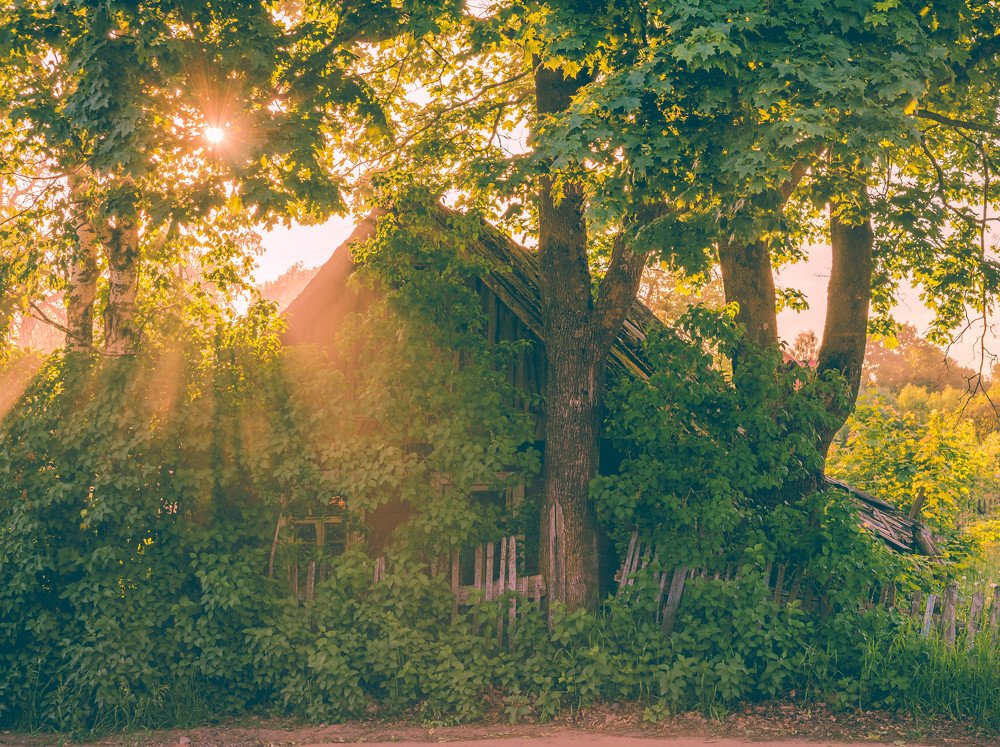 Фотография автора Андрей Меньших