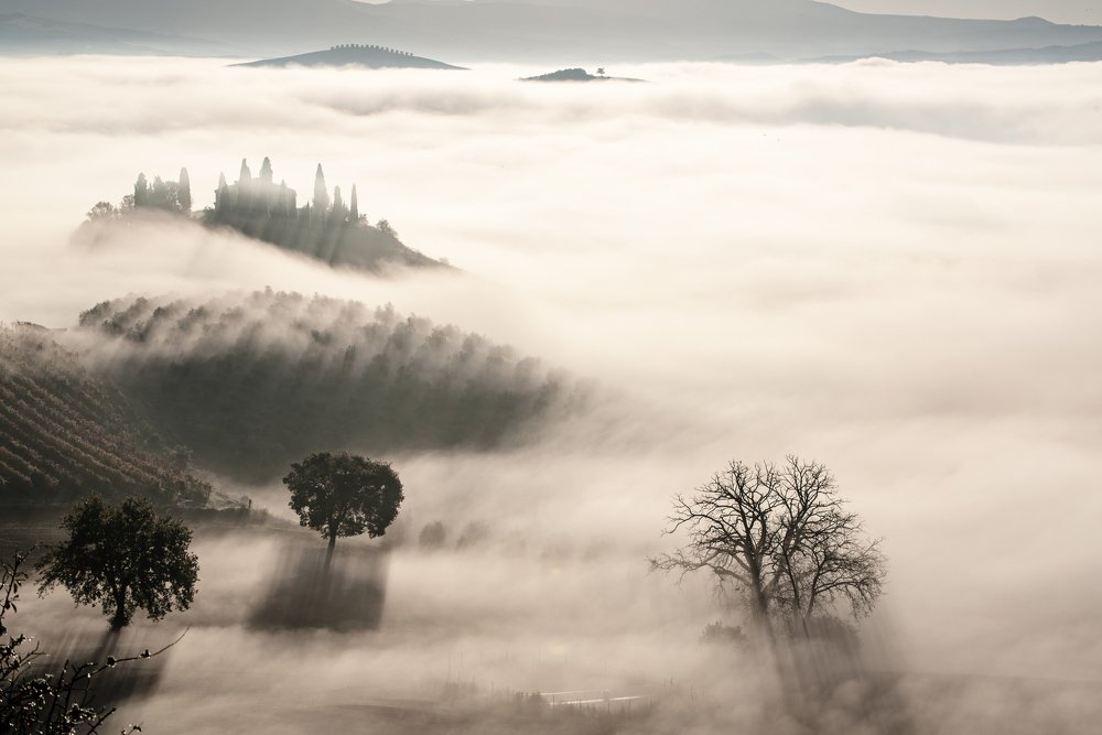 Photograph by Roksana Bashyrova