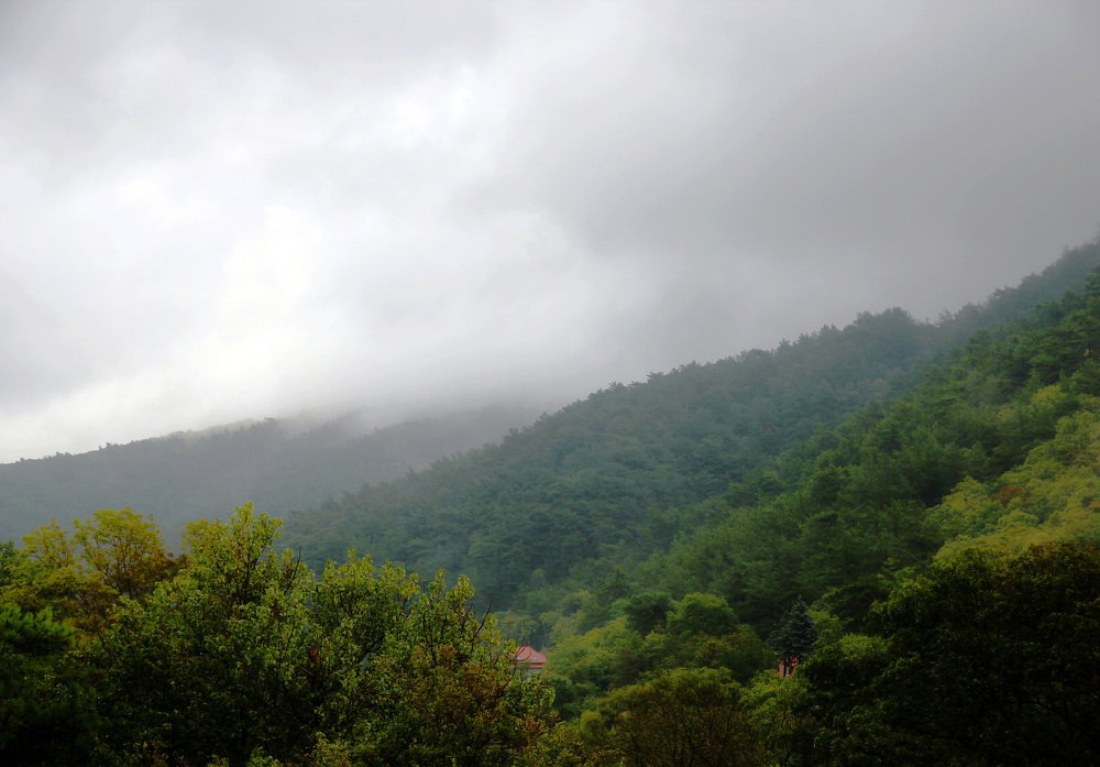 Photograph by Александр Бугаенко