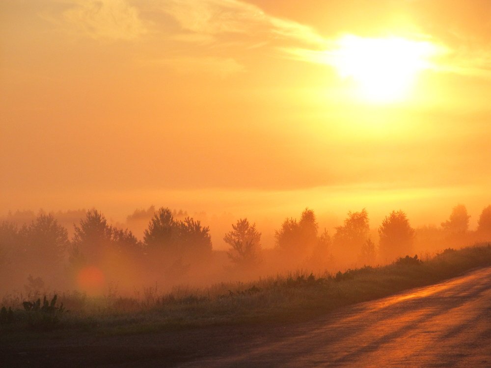 Photograph by Сергей