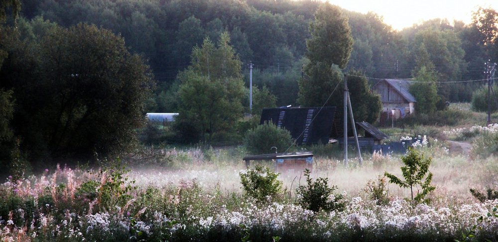 Photograph by Александр Бугаенко