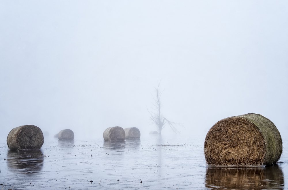 Photograph by Vyacheslav Biryukov