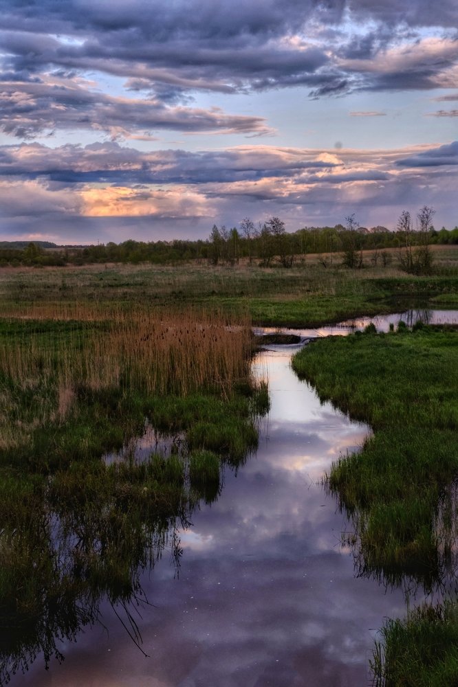 Photograph by Григорий Ефимов