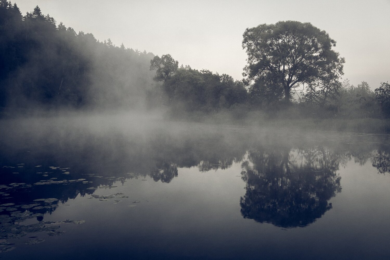 Photo #4647633