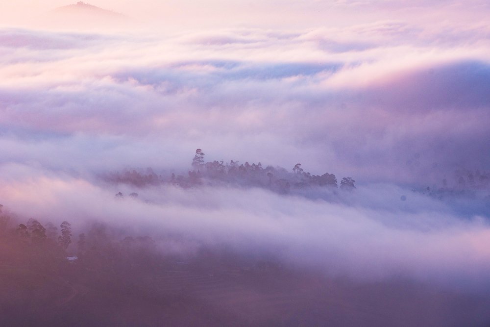 Photograph by Nutan Khedekar