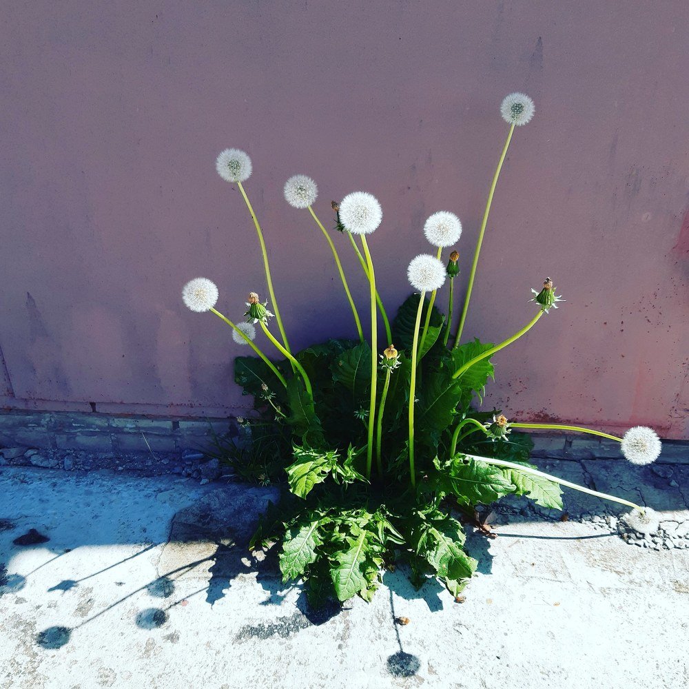Photograph by Инна