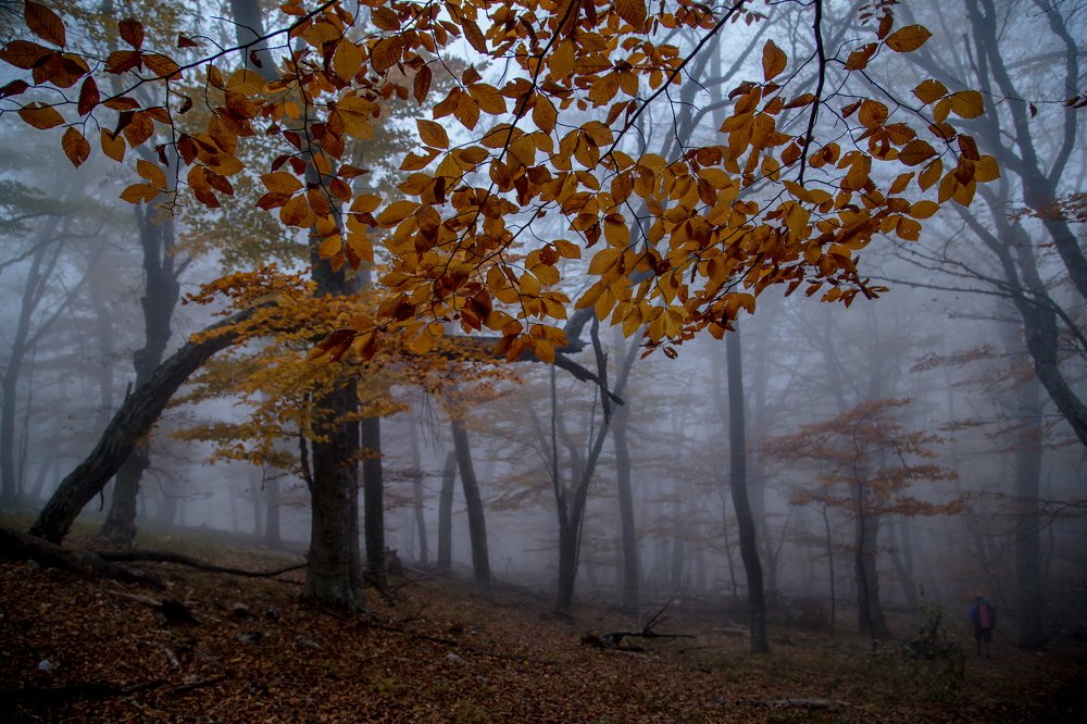 Photograph by Татьяна Антонюк