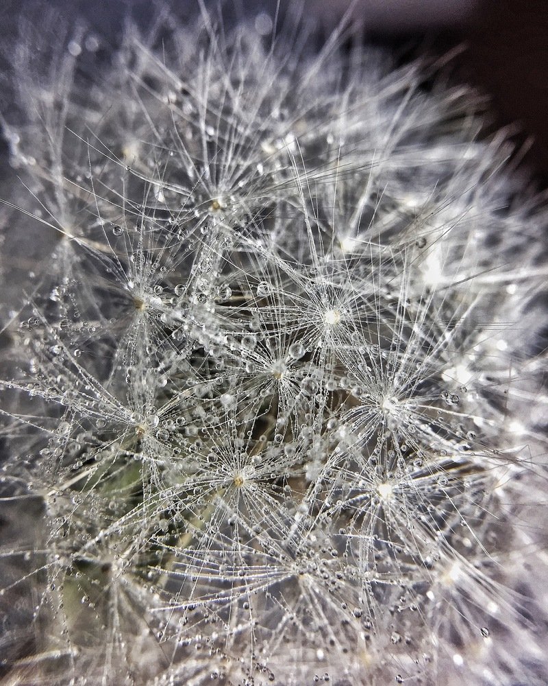 Photograph by Светлана Ишкина