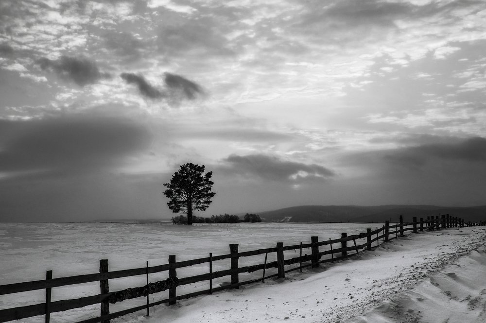 Узы одиночества...