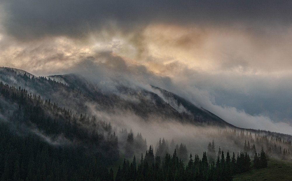Після  дощу  в Карпатах.