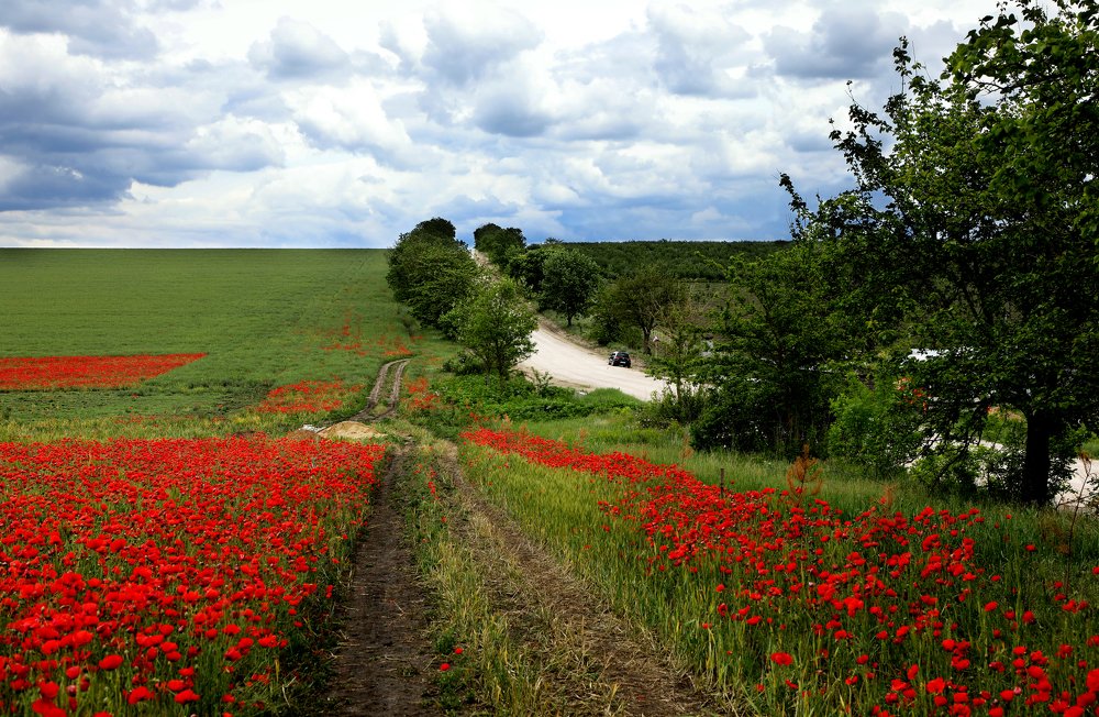 Photograph by Валерия Маркова