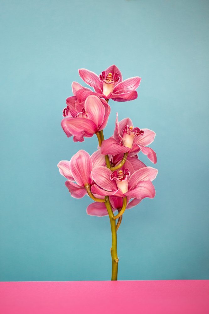 Photograph by Агарков Алексей