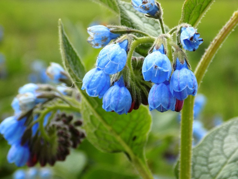 Photograph by Валентина Смирнова