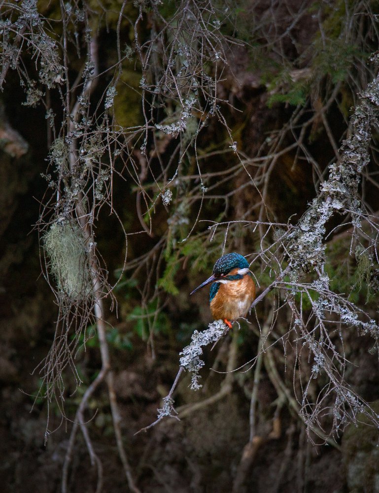 Фотография автора Dace Spalvina